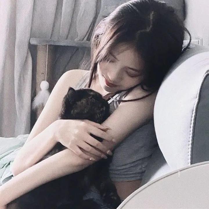 丛林少女之重启